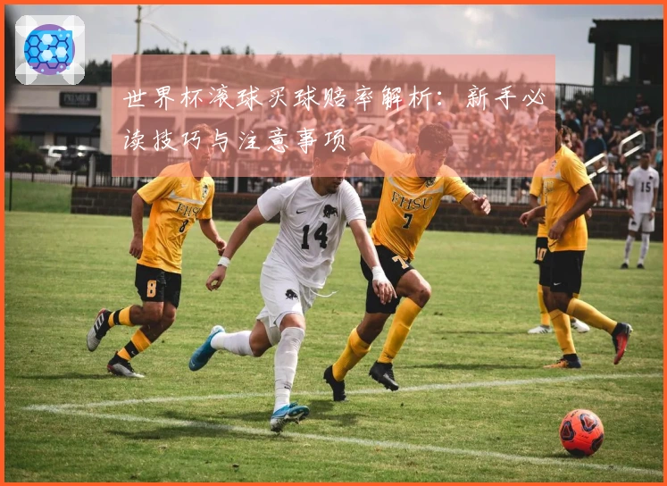 世界杯滚球买球赔率解析：新手必读技巧与注意事项