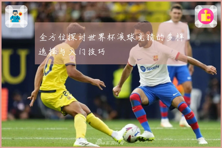 全方位探讨世界杯滚球竞猜的多样选择与入门技巧