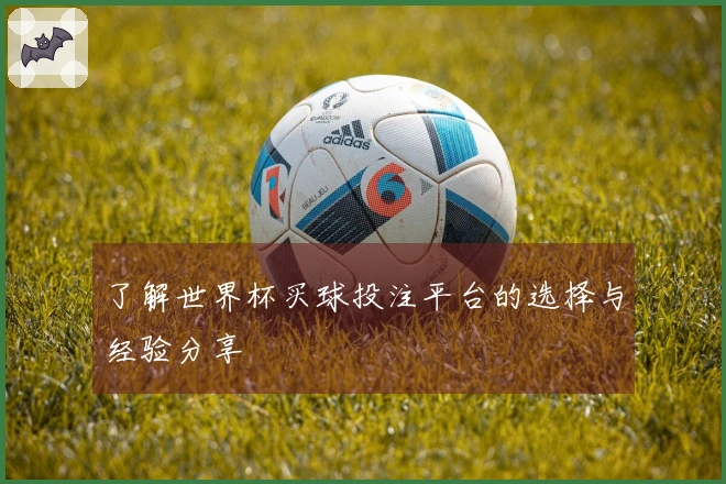 了解世界杯买球投注平台的选择与经验分享
